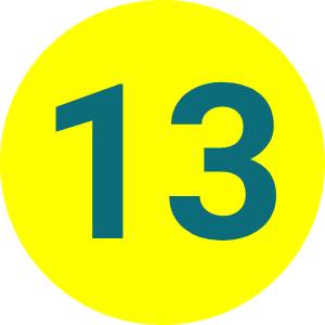 13