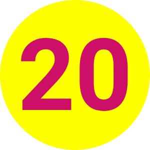 20