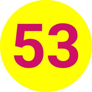 53