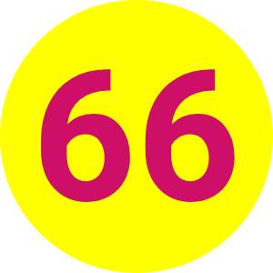 66